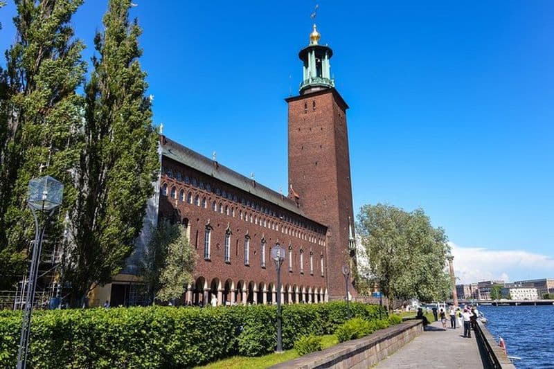 Excursion privée à Stockholm: hôtel de ville et musée Vasa