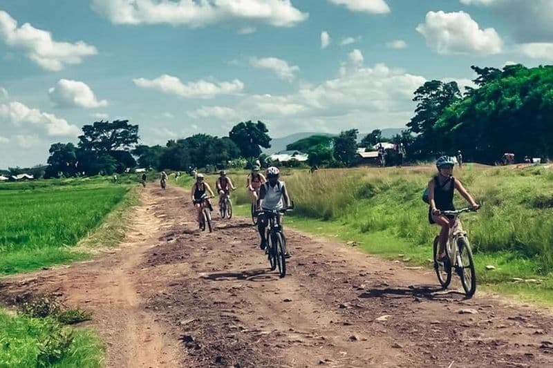 Découvrez la sérénité de la forêt de Rau lors d'une excursion à vélo d'une demi-journée