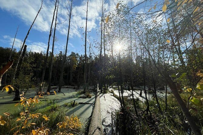 Randonnée guidée à Berlin/Brandebourg, transport inclus