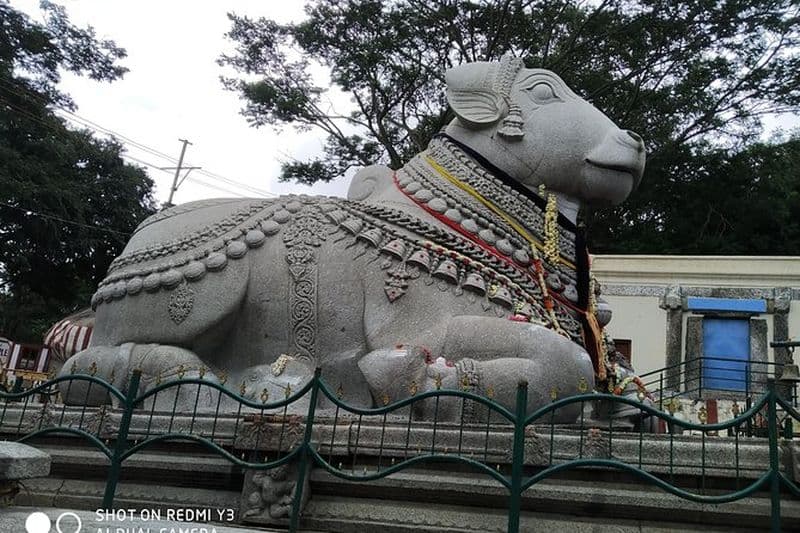 Visite privée d'une demi-journée du fort de Jaipur Amer, de Jal Mahal et de Stepwell