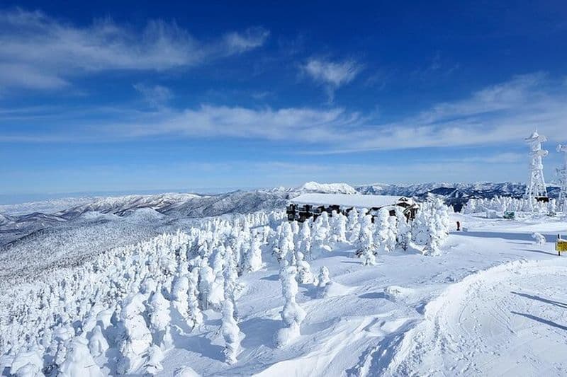 Transports de ski de Tokyo à Nagano