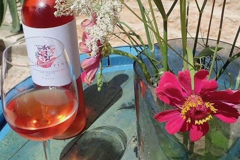 Expérience de dégustation de vin à Hvar en petit groupe