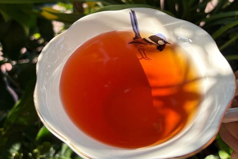 Visite découverte de la Route du Cheval de Thé Ancien