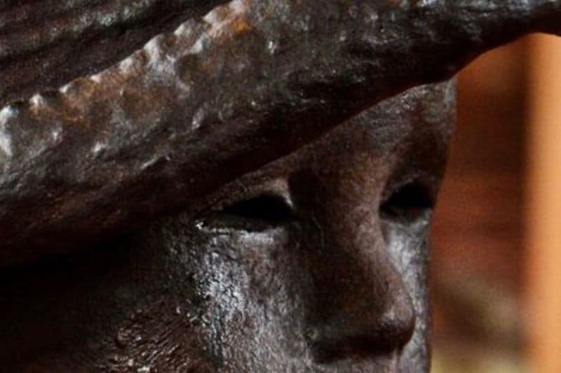 Excursion d'une journée à Whitney Plantation et à Airboat Swamp avec pick-up