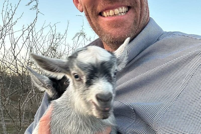 Oiseaux, abeilles, plantes et chèvres.