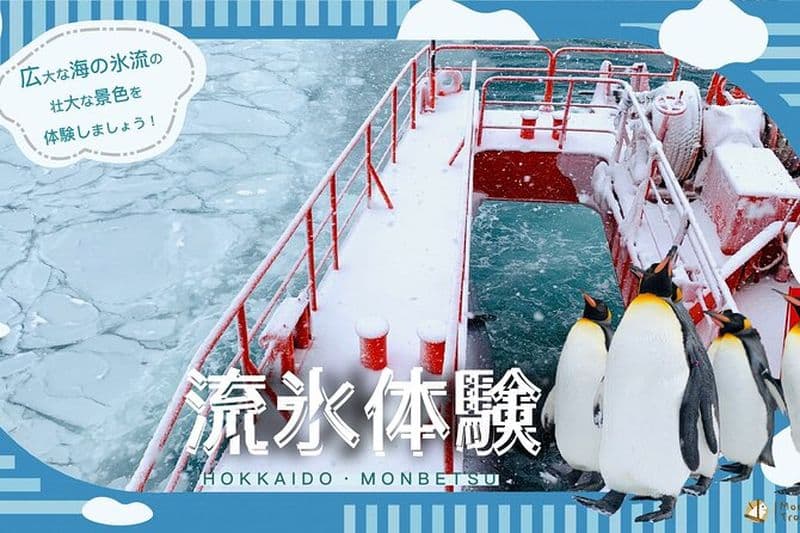 Hokkaido Winter 2 - Excursion d'une journée : Croisière brise-glace, Sounkyo & Zoo