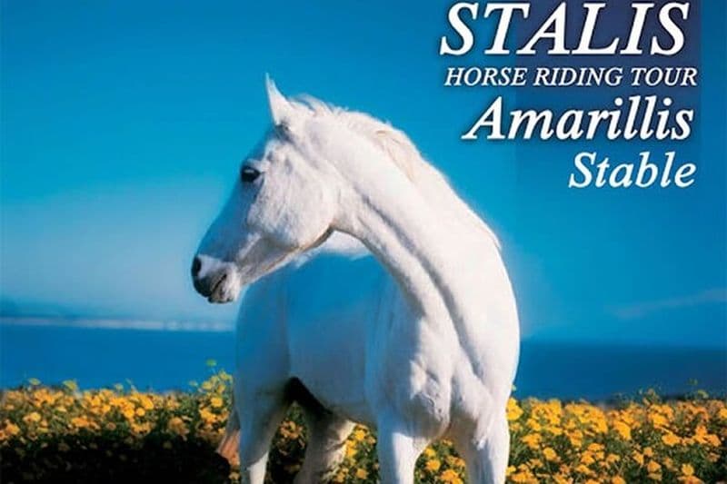 ÉQUITATION 1,5 heures dans les montagnes de la région d'Hersonissos CRETE