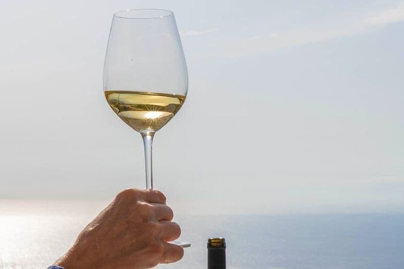 Dégustation de vins Syros et promenade dans le village