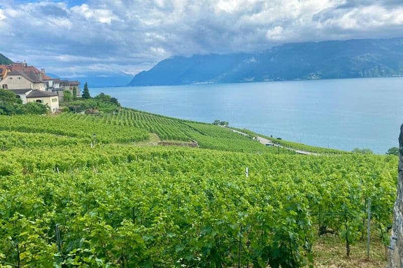 Billet Visite privée des vins de Gruyères, Fromages et Lavaux UNESCO | From Bern