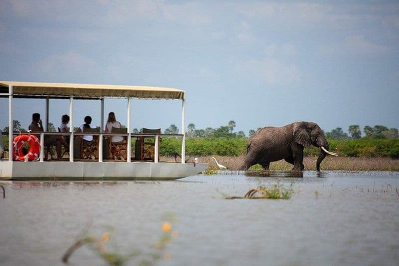 Une excursion d'une journée à Selous en avion depuis Zanzibar