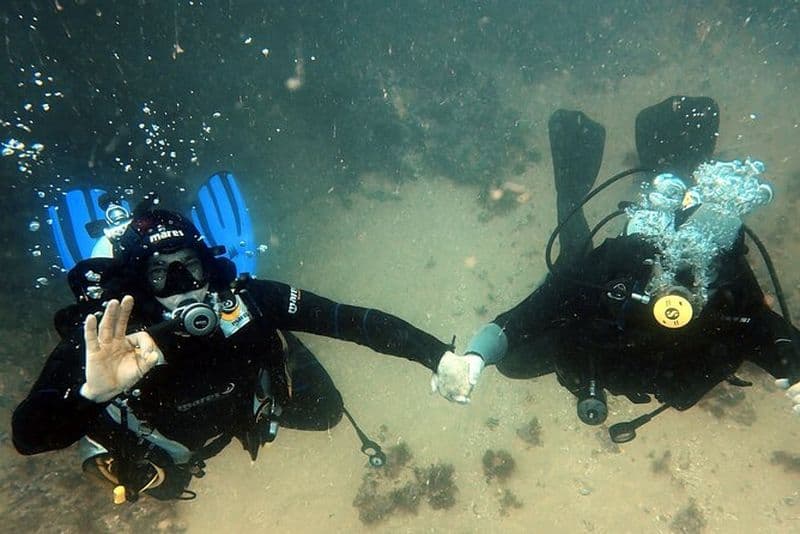 Portimão : plongée sur épave dans l'Ocean Revival Park