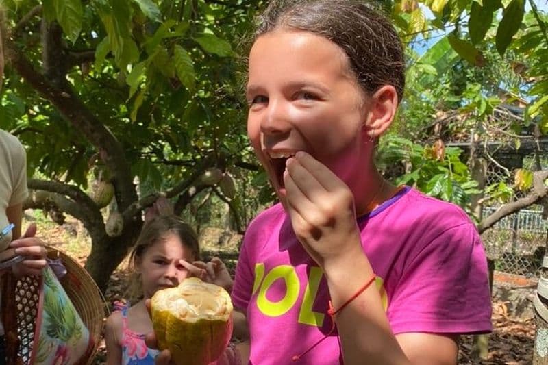 Expérience d'une journée complète à la ferme et au chocolat