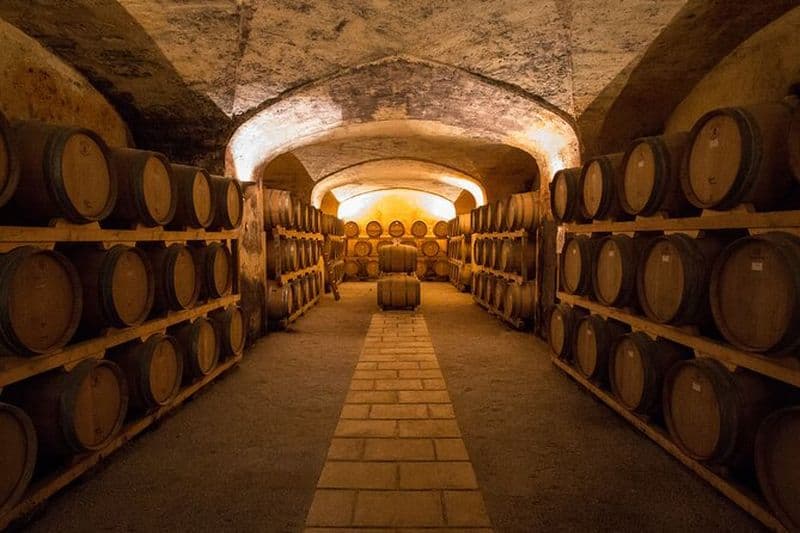 Visite historique de la cave et dégustation de vin dans le Salento