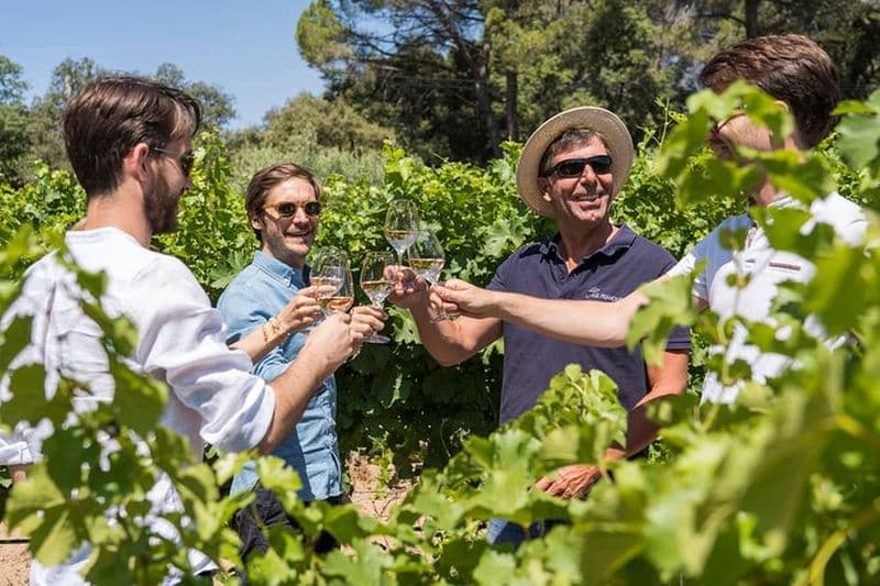 Tour des vignobles des Côtes de Provence au départ d'Aix-en-Provence