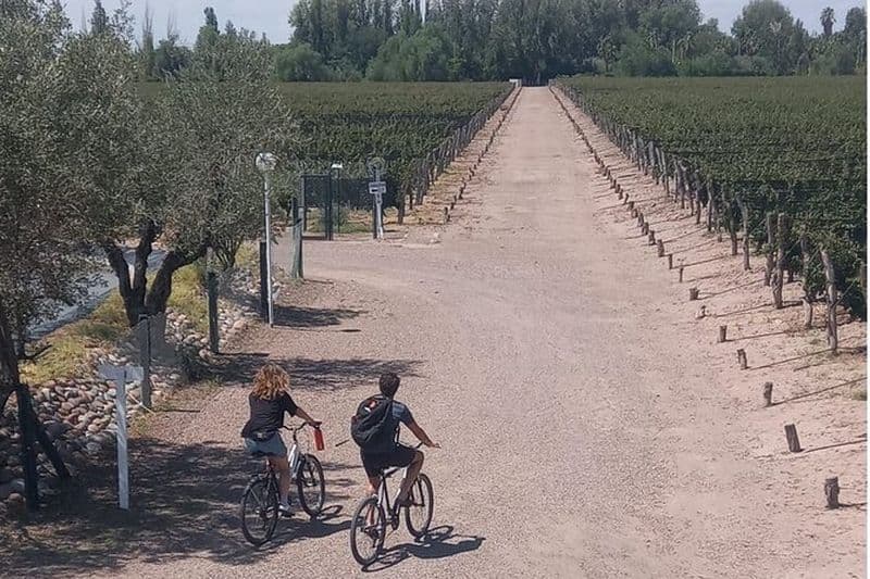 Visite autoguidée à vélo de Maipú (Mendoza)