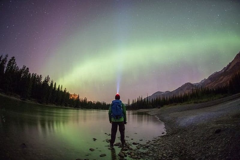 Canmore : Visite à pied de l'observation des étoiles et de la nature par la nuit - 2hr