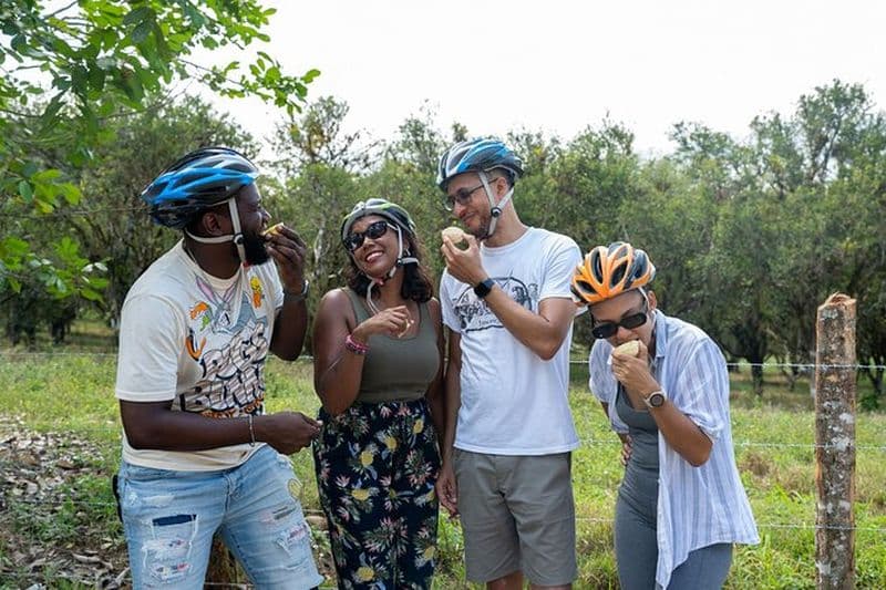 Balade en vélo électrique et dégustation d'Appleton au domaine Good Hope