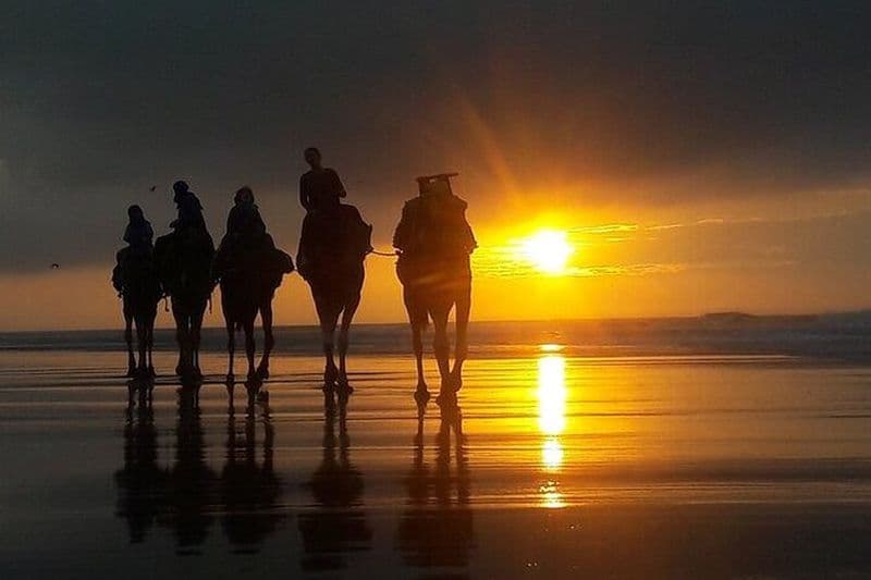 Essaouira P12 : 1h Quad bike tour and 1h dromedary Ride