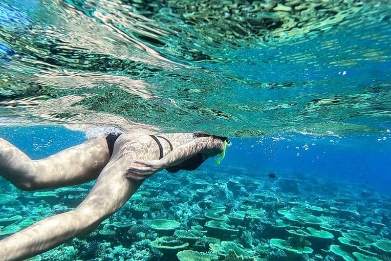 Snorkeling et visite de l'île de Villigili