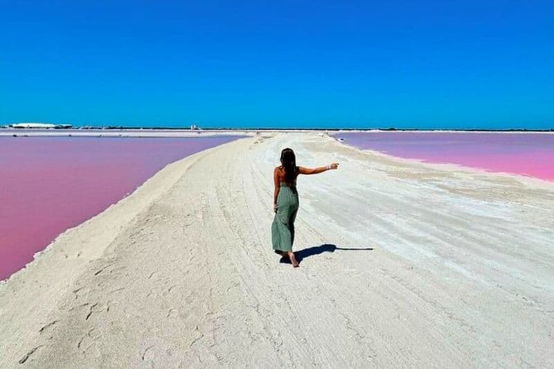 Safari à Rio Lagartos, Coloradas et bain maya