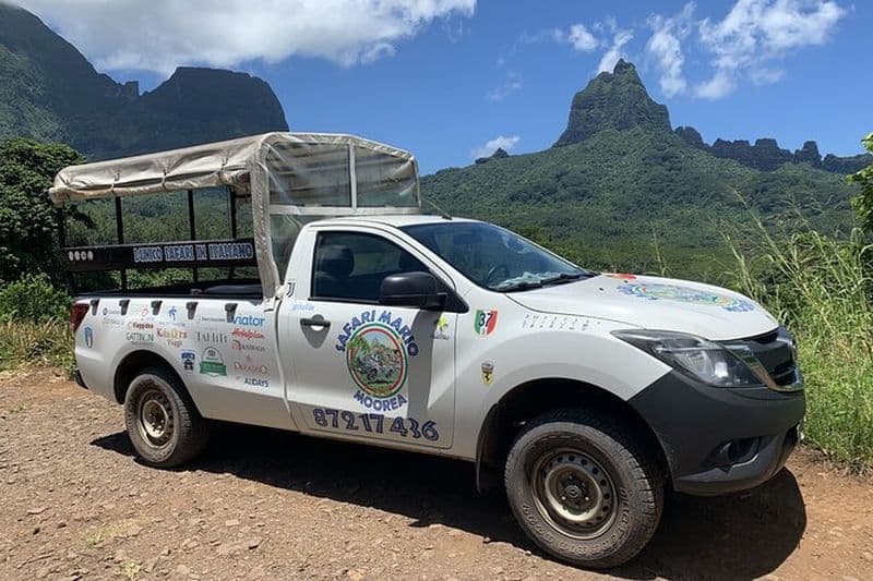 Excursion en 4X4 à Moorea incluant le belvédère de la plantation d'ananas et Magic Mountain