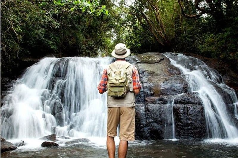 Billet Excursion d'une journée dans la forêt tropicale de Sinharaja au départ de Mirissa, Galle, Bentota