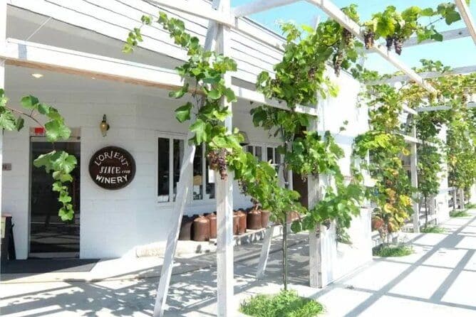 Visite du temple du raisin et des vignobles en train et en taxi à Yamanashi