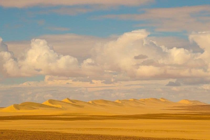 Morocco Adventure Safari 14 jours 13 nuits (Comfort Plus)