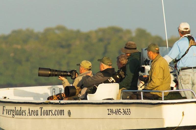 Excursion de deux heures en bateau avec dauphin, lamantin et oiseaux des Everglades