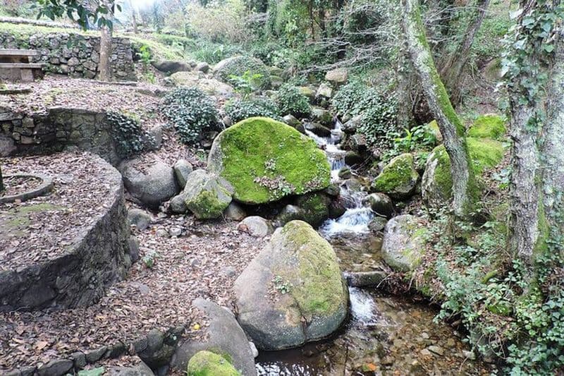 Randonnée guidée en forêt privée avec dégustation de medronho