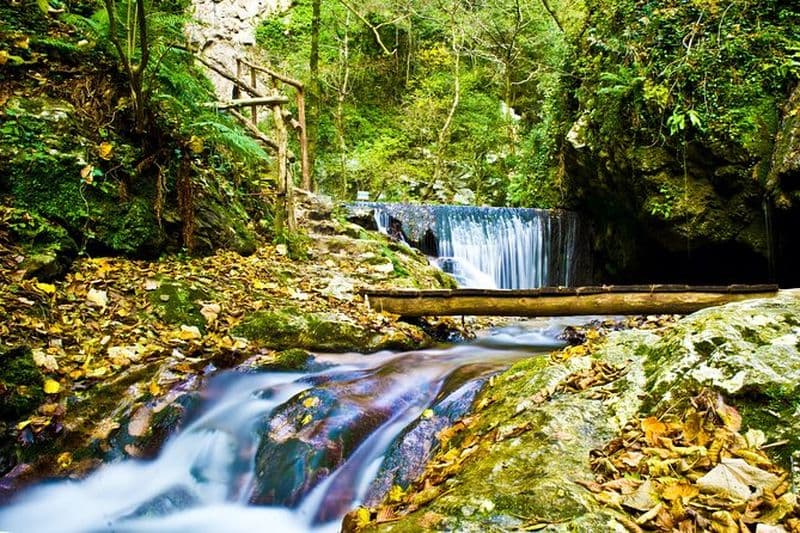 Expérience de randonnée - Réserve naturelle d'Amalfi Valle delle Ferriere