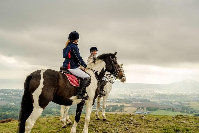 Dublin à Wicklow, visite en petit groupe de Glendalough avec équitation