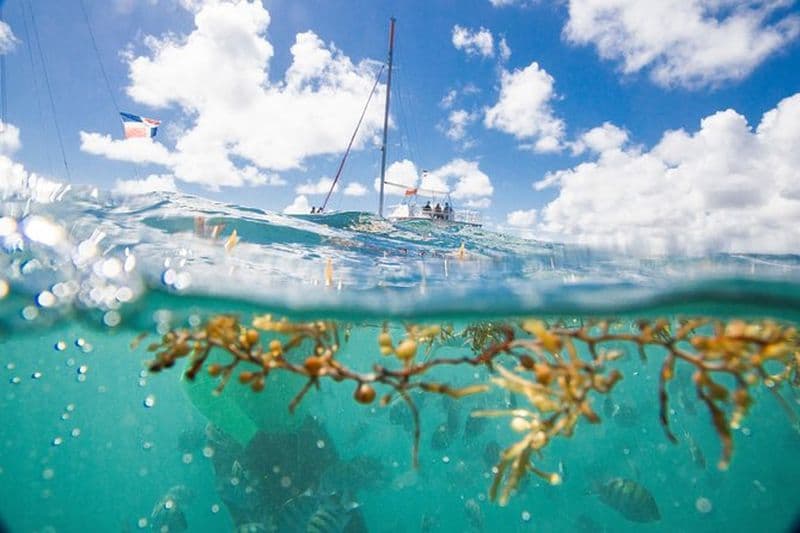Excursion en catamaran avec plongée avec tuba et sortie sur l'eau en petit groupe à Punta Cana