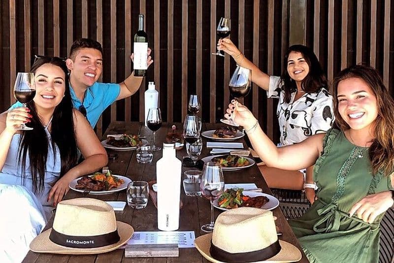 Découvrez un vignoble isolé pour le déjeuner