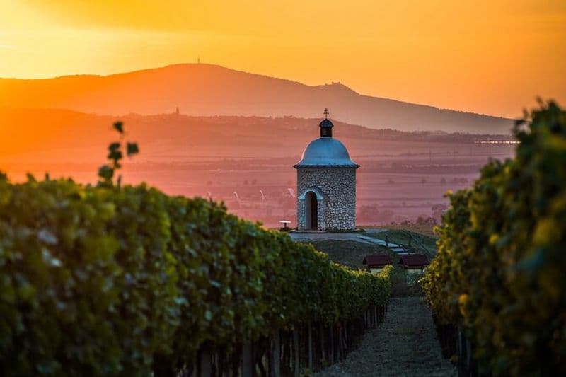 Excursion d'une journée en vélo électrique et vin en Moravie au départ de Brno