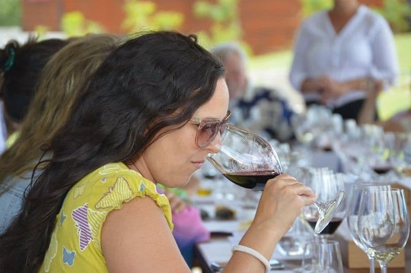 Visites privées des vignobles en Uruguay