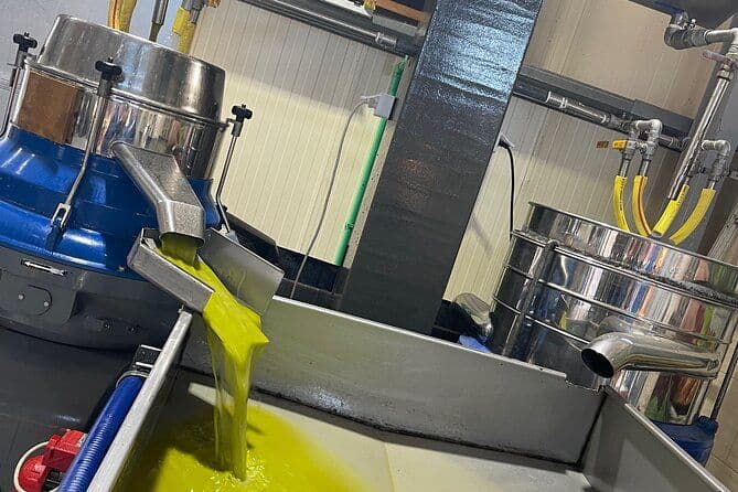 Knossos Palace - Dégustation de vin + huile d'olive - Villages traditionnels