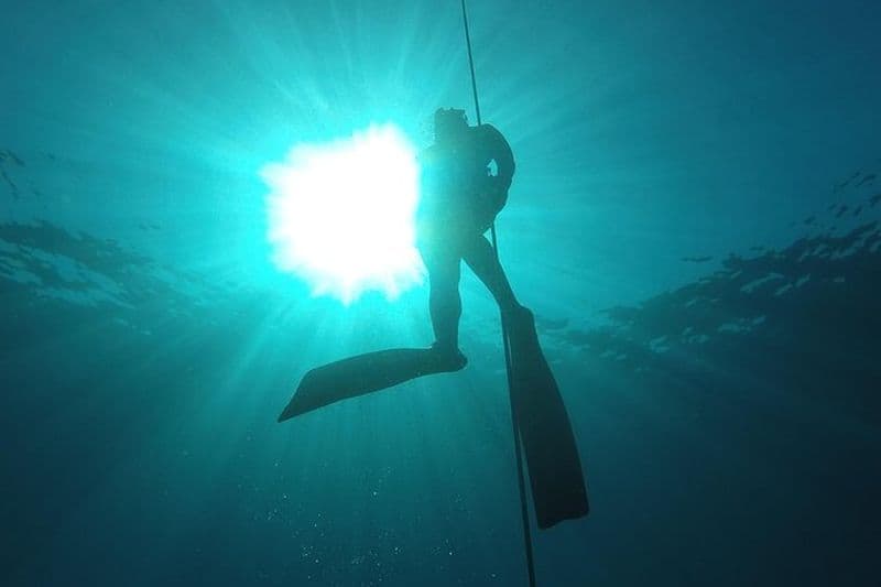 Baptême de plongée gratuit