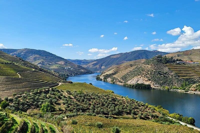 Visite privée de la vallée du Douro (2 caves + bateau)