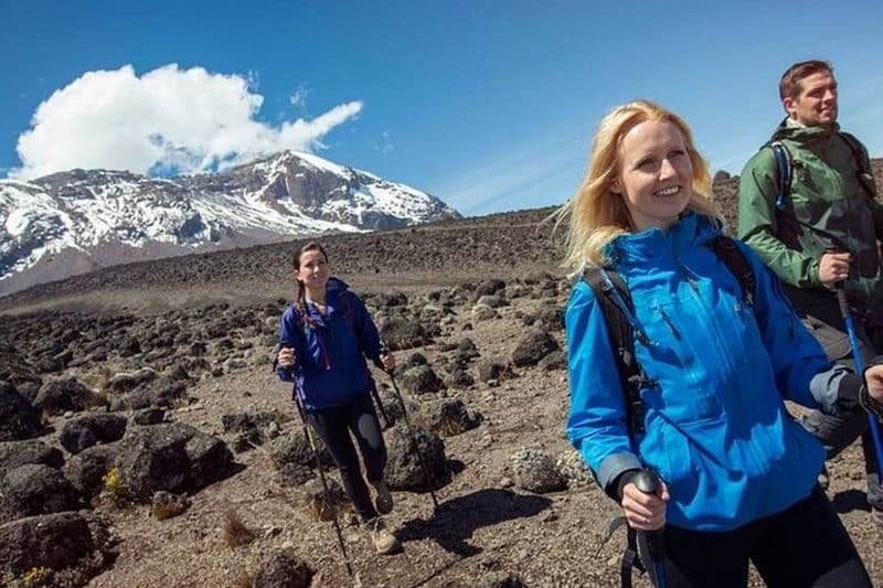 7 jours d'escalade du Kilimandjaro via la route Lemosho