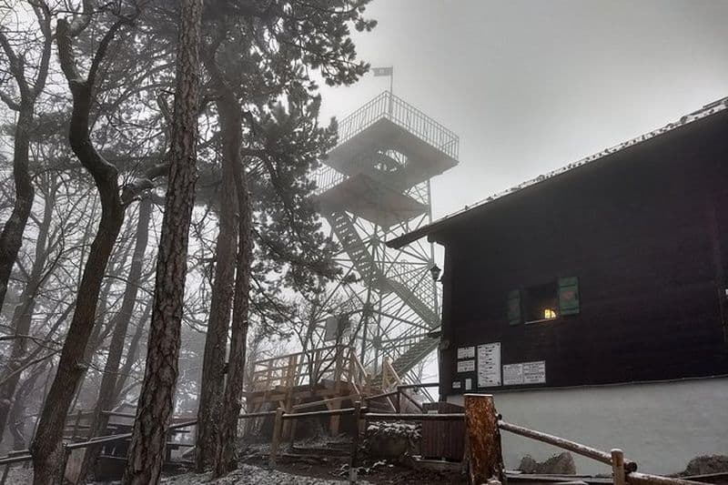 Randonnée privée de 3 heures sur le mont Parapluie avec vue sur Vienne