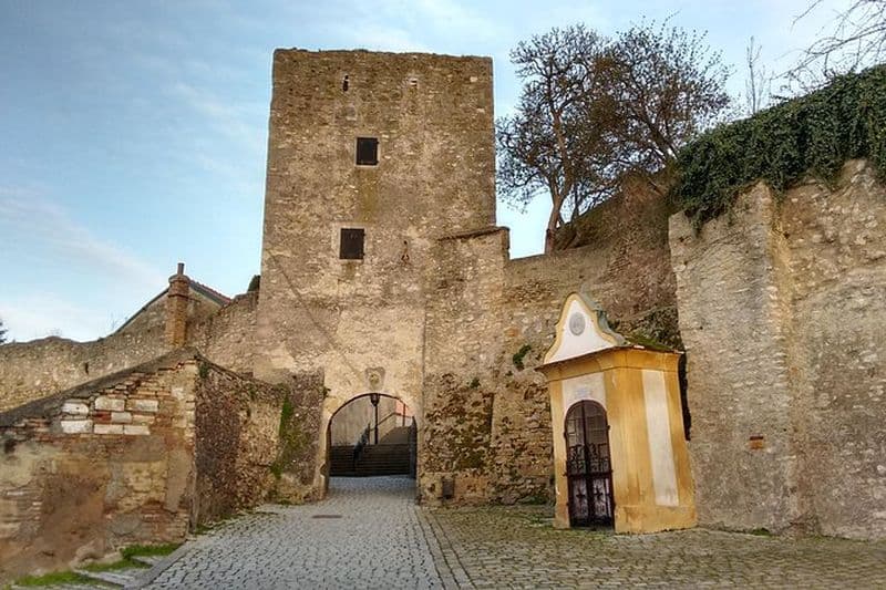 Randonnée privée de 2 heures à la découverte de l'histoire au mont Braunsberg, au départ de Vienne