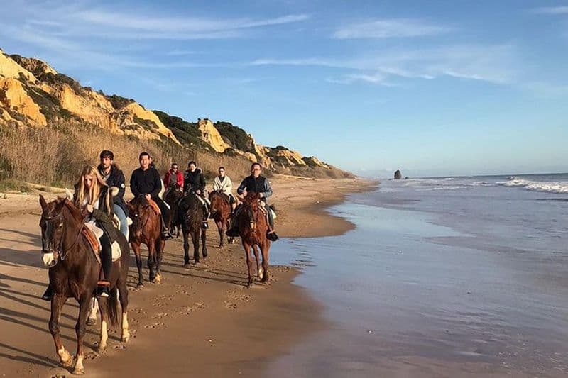 Randonnée à cheval à travers Doñana et visite d'El Rocio