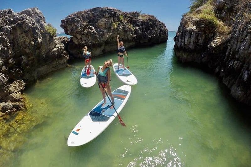 Cours de Stand Up Paddle Boarding de la Baie de Cascais