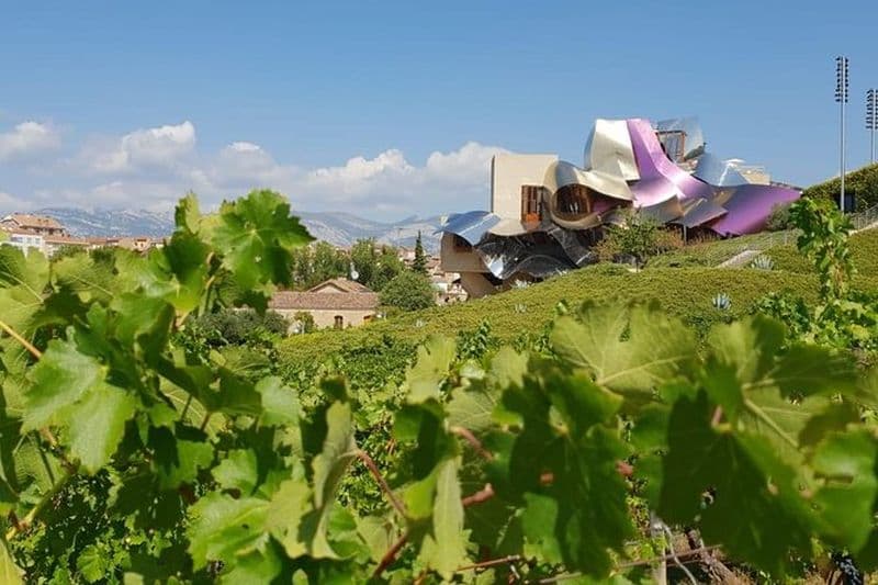 Visite des vins de la Rioja : 2 établissements vinicoles de Bilbao