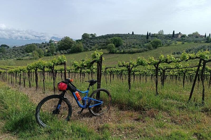 VTT dans les collines toscanes