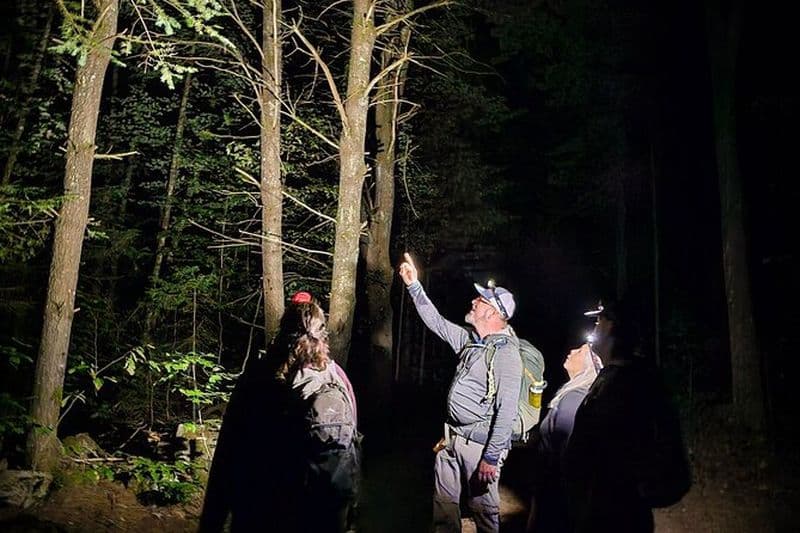 Randonnée nocturne et dîner au parc de la Gatineau au départ d'Ottawa