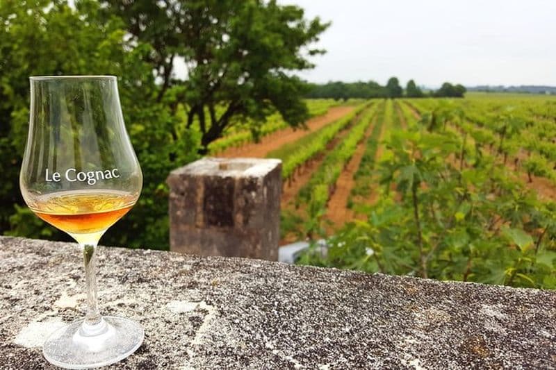 Excursion privée d'une journée au départ de Cognac : Distilleries de vignobles et d'artisanat avec dégustations