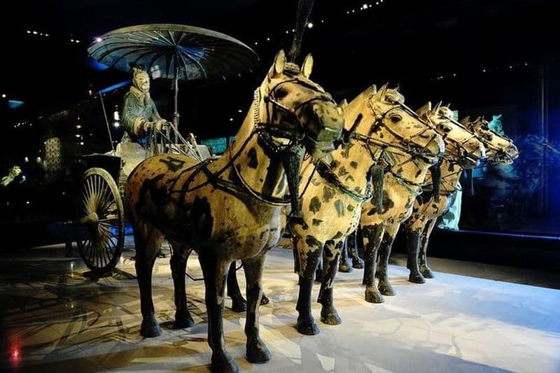 Visite privée: visite essentielle d'une journée à Xian, y compris les guerriers et les chevaux en terre cuite
