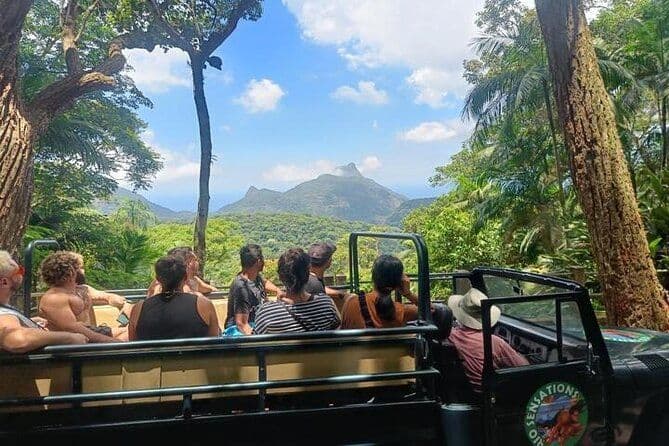Excursion d'une demi-journée en jeep dans la forêt tropicale et pittoresque de Tijuca à Rio